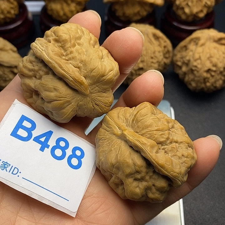 核桃蛙蛙一帆风顺4.1有修