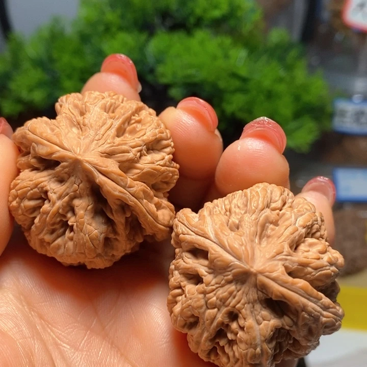 文玩核桃把件爱**方粗筋