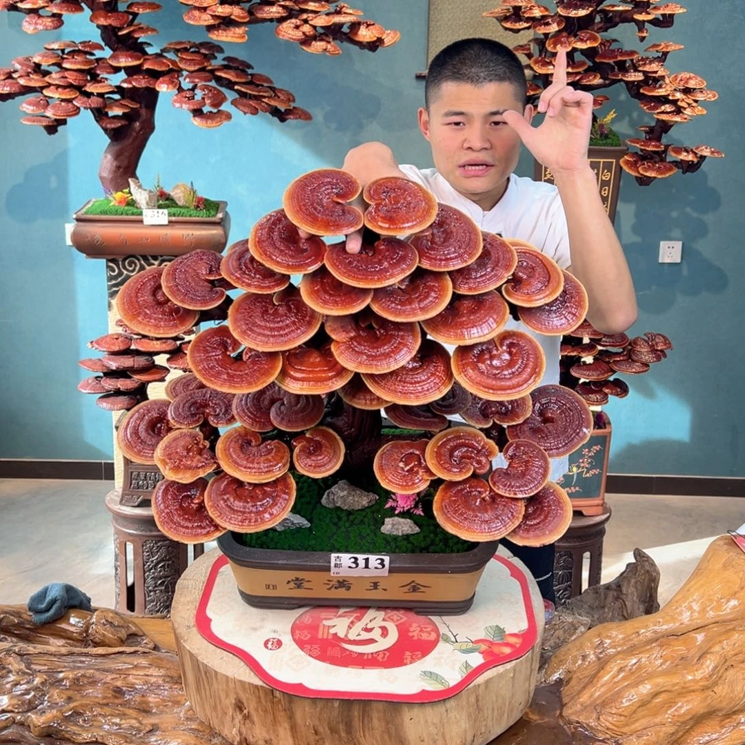 无花朵88888888888