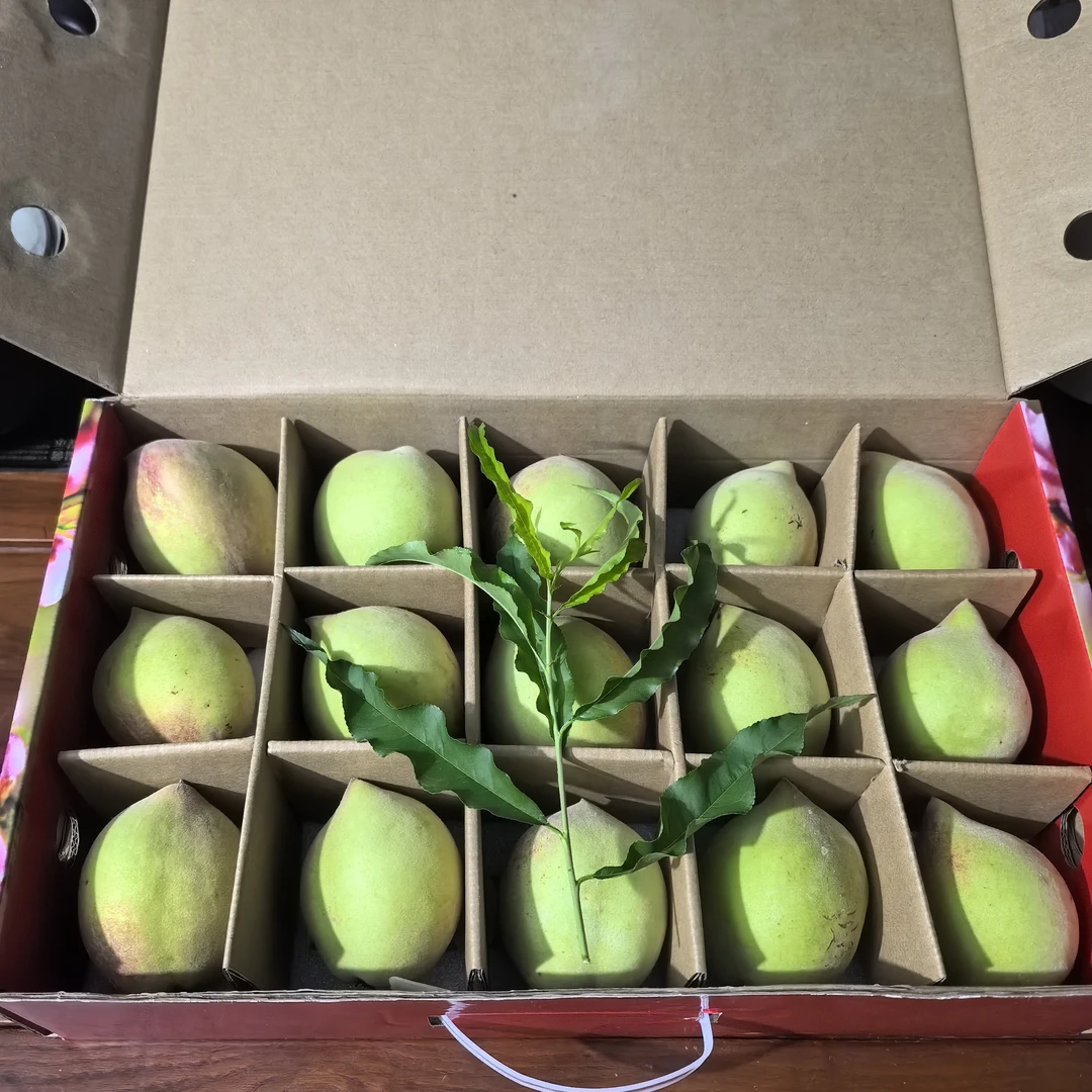 翁源县正宗九仙桃