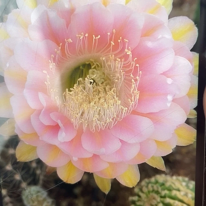 13号自根球福利出