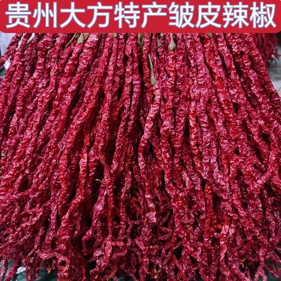 【大方皱椒】贵州大方今年皱椒新干皱皮鸡爪辣椒皮薄肉厚香辣适中