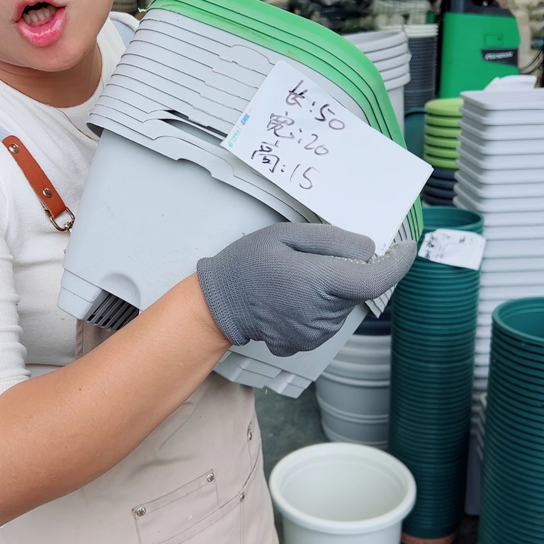 瑕疵菜盆长50#混色6个无托