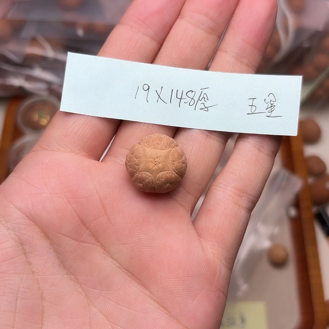 凤眼菩提手串五星单颗