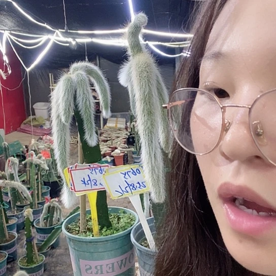 0675脱土发货无售后