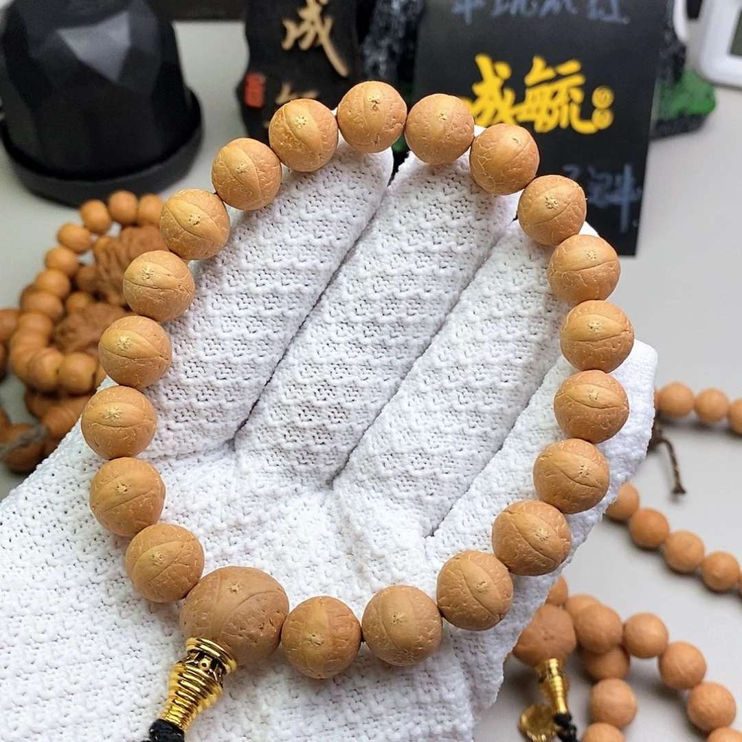 吊坠凤眼菩提12尺寸新籽