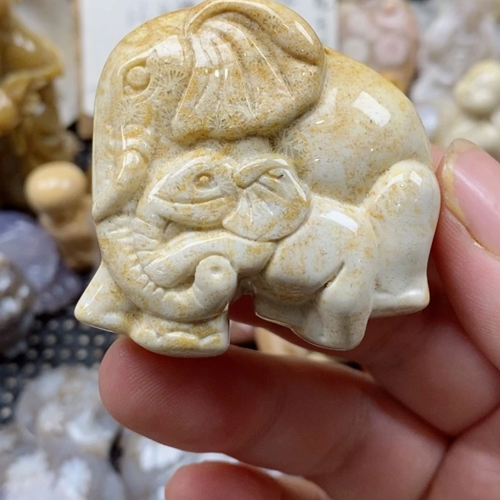 颈饰未镶嵌硅化珊瑚（珊瑚玉）有瑕