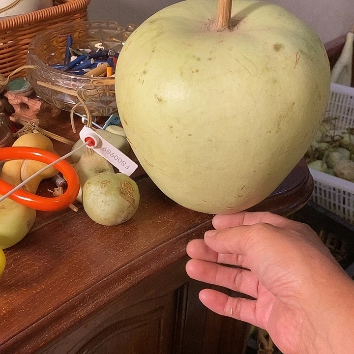 银***泉青皮葫芦手把件葫芦