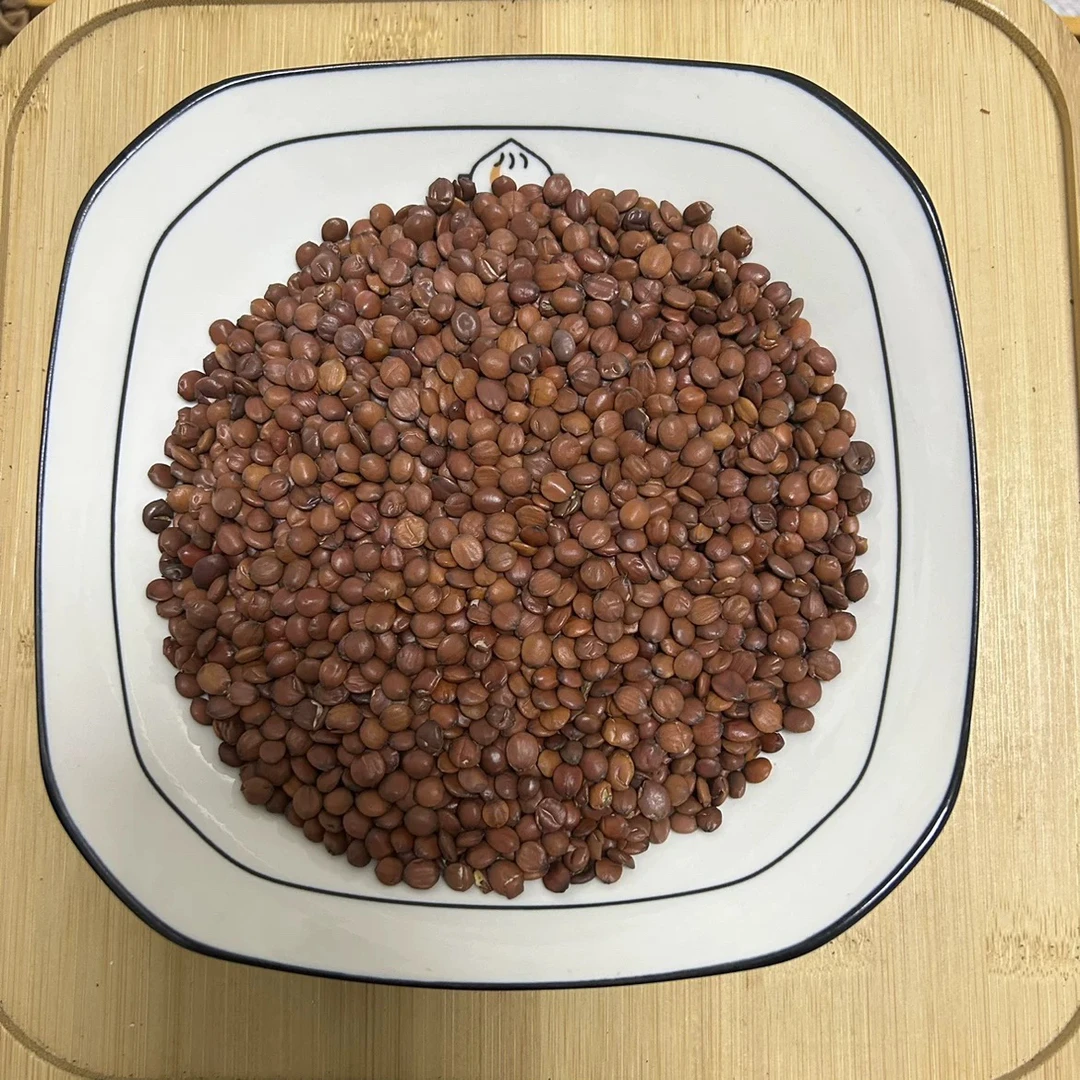 山东国产酸枣仁中药材正品酸枣仁