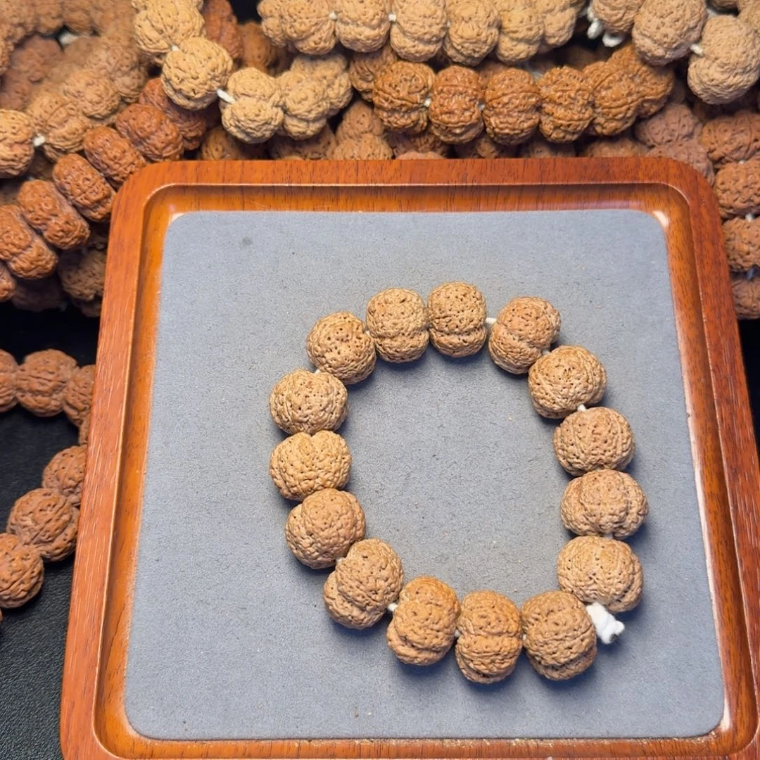 13号尼泊尔大金刚23五星熊猫菠萝蜜