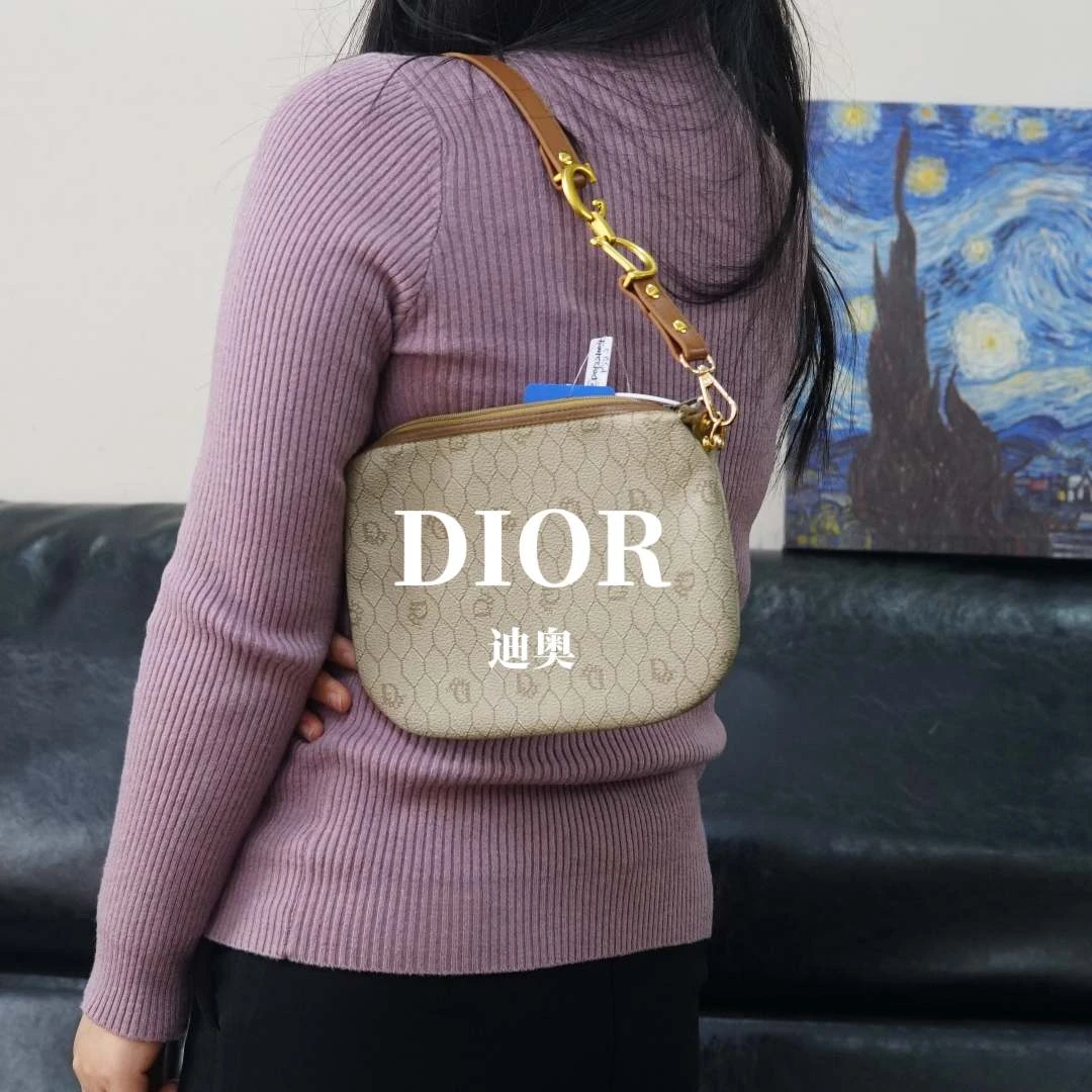 95新 DIOR/迪奥 老花单肩包/ZD01221004/1004