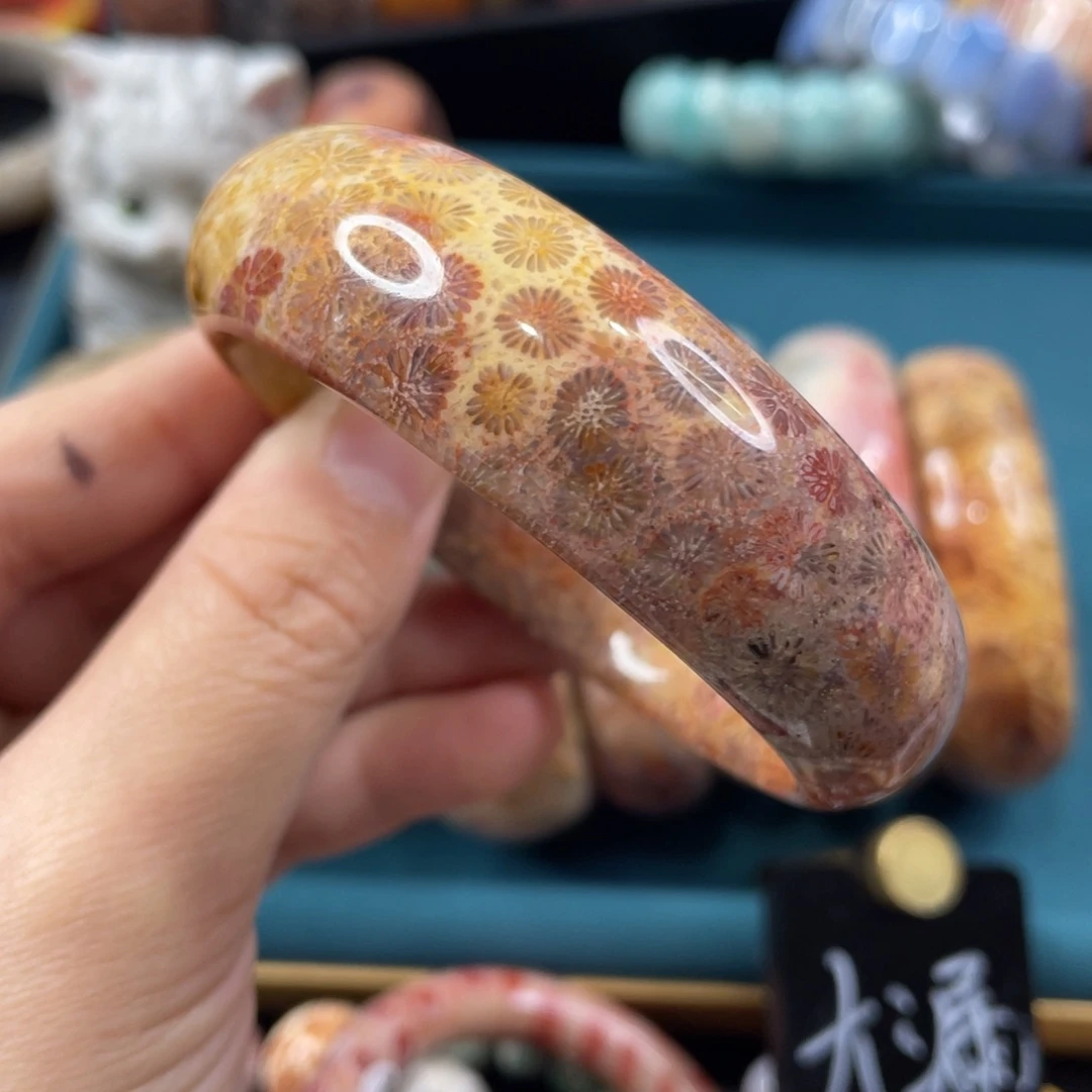 未镶嵌手镯硅化玉