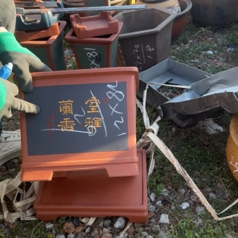 红陶紫砂花盆盆景盆栽