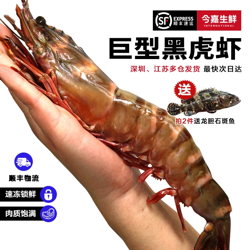 今嘉黑虎虾 超大虾类老虎虾1000g 越南进口 海鲜水产鲜活速冻礼盒