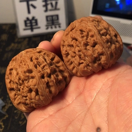 文玩核桃把件全品白狮子43mm