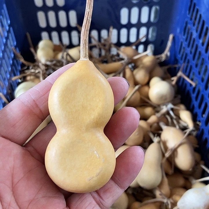 ?****rBdhsjwjsjdbdjss