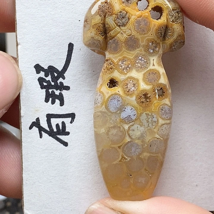 颈饰未镶嵌硅化珊瑚（珊瑚玉）