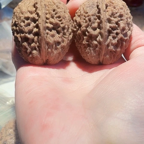 把件文玩核桃铁将军带彩40