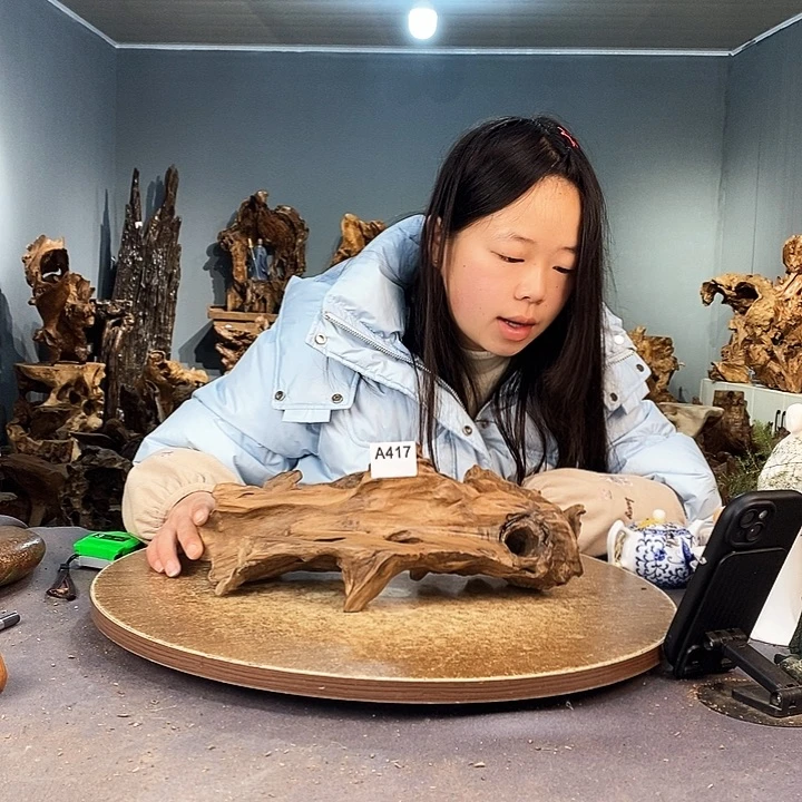 茶盏大*417株木的随行的根艺