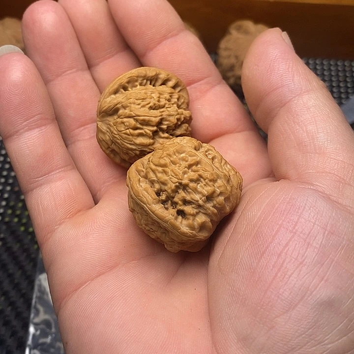 听***馆吊坠文玩核桃500.500