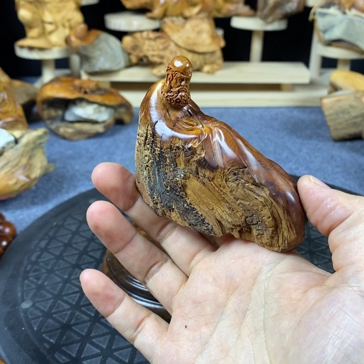 柏木崖柏羽崖柏崖柏