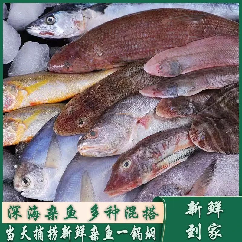 小妹海鲜 大连小船 杂拌鱼 野生