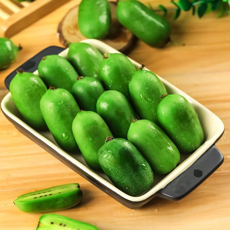 顺丰包邮礼盒装大果丹东软枣猕猴桃新鲜东北圆枣子奇异莓东北特产