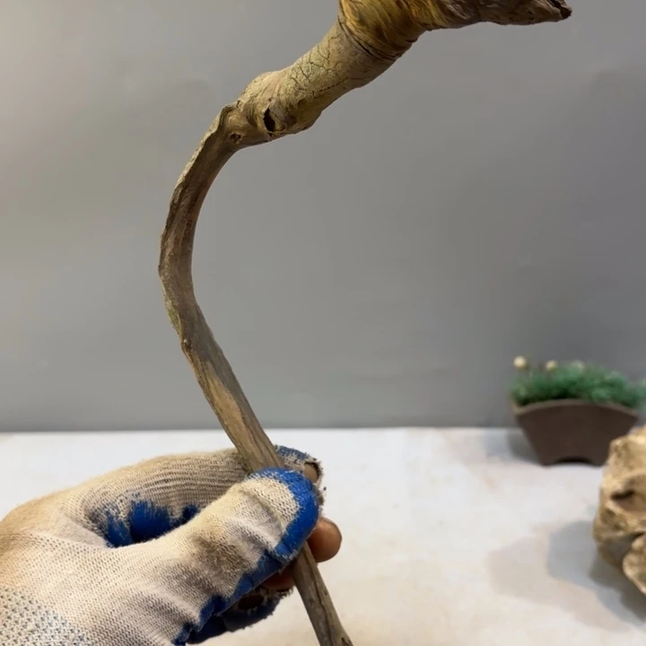 幸***纪崖柏纹理坨坨把件料