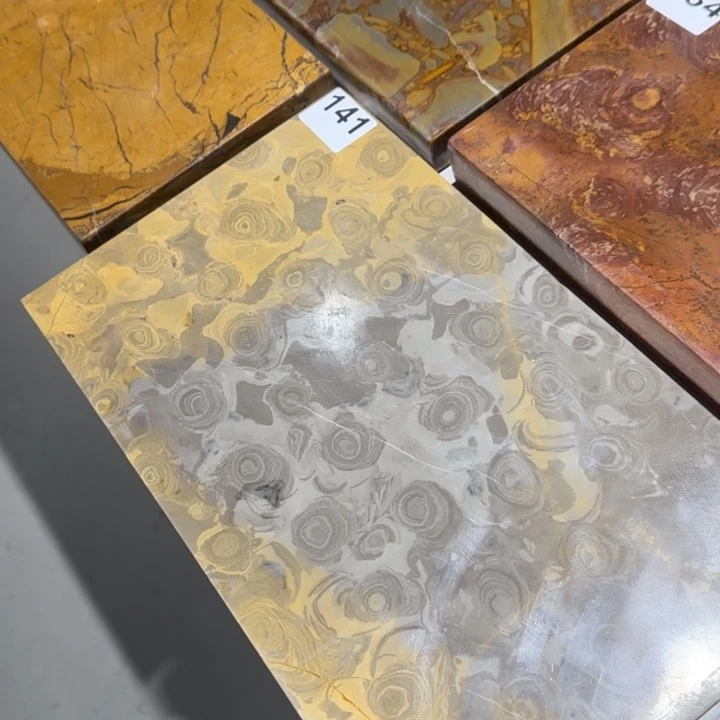 1111111鸿****施1111111111