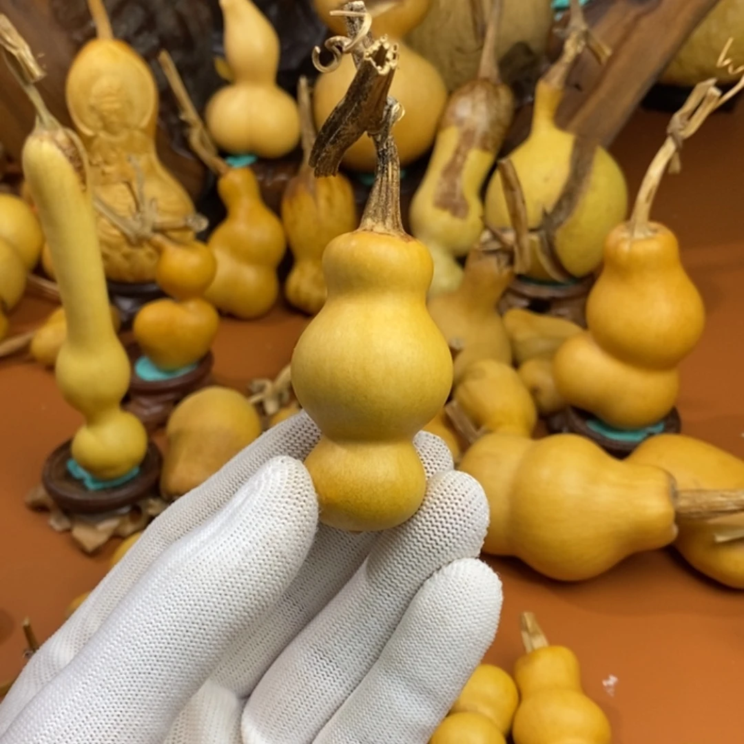 小***禄教练教练教练教练咯