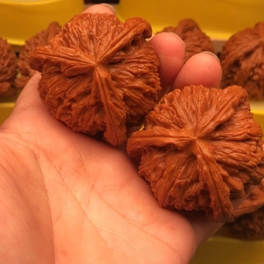 华***仔核桃核桃核桃核桃核桃
