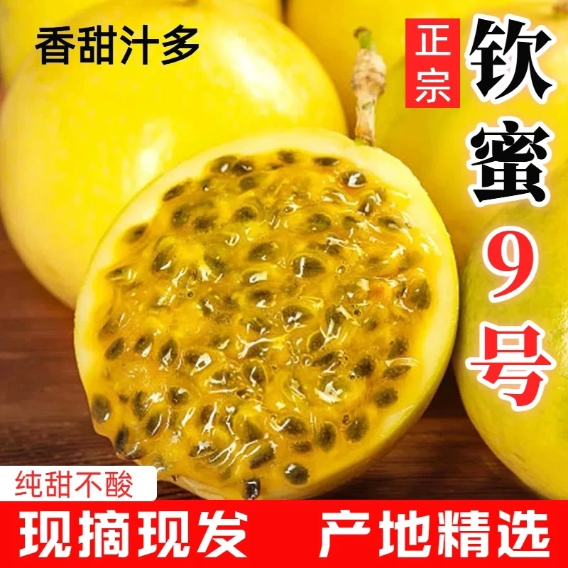 （5斤巨无霸）正宗广西钦密9号百香果黄金果应季水果新鲜高山百香果