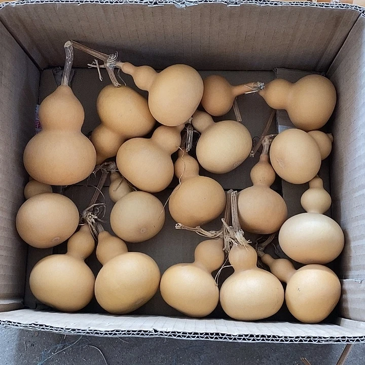 葫芦的颜色很好看啊