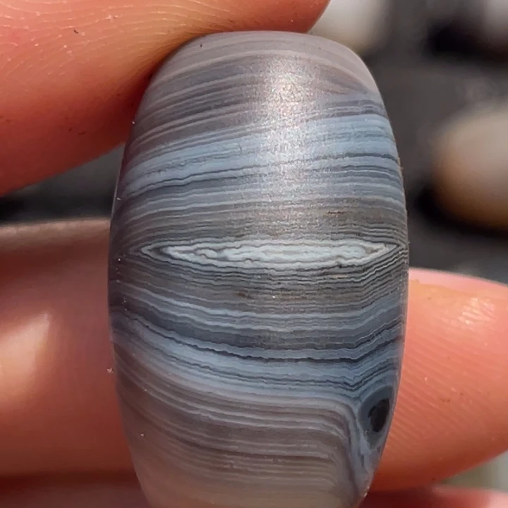 直播见所见即所得