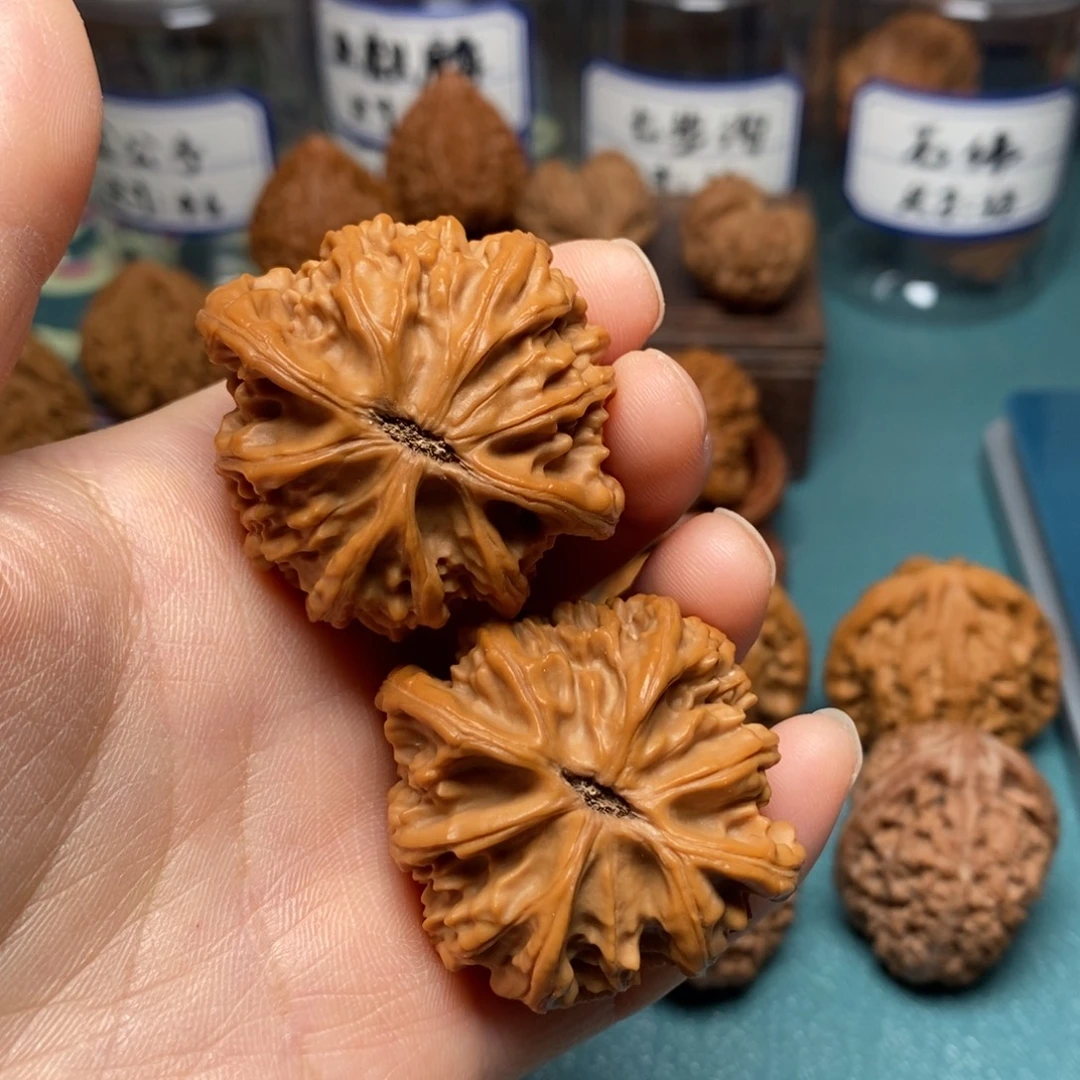 远***山核桃42尺全品灯笼