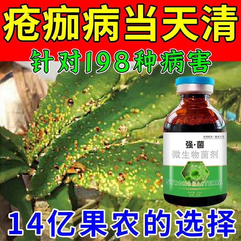 火龙果病专用药火龙果溃疡病专用药黄斑病软腐病疮痂病菌剂正品