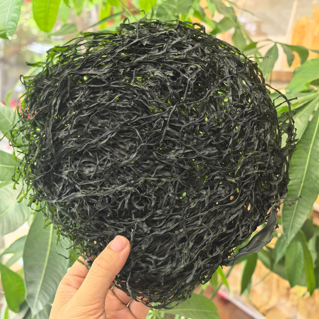 压缩烘干海带丝无沙免洗