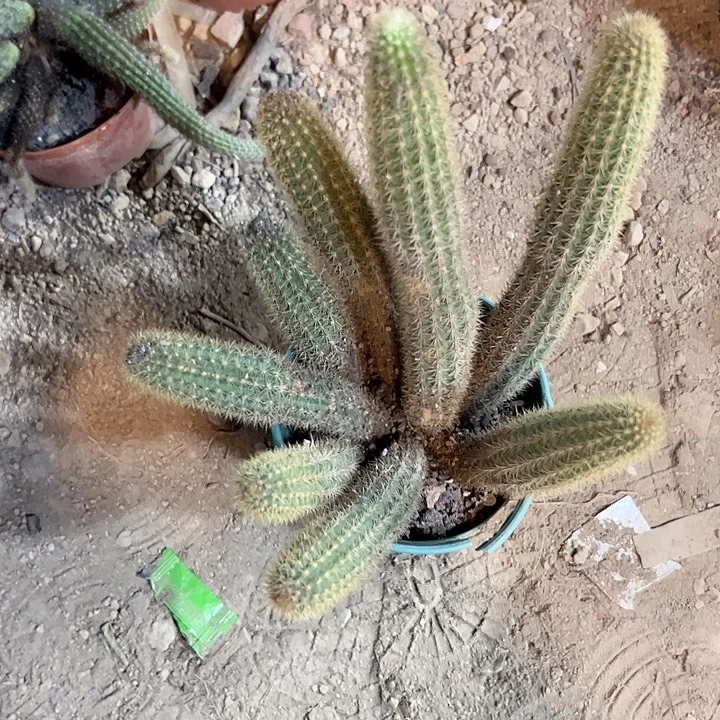 用***7哈哈哈哈哈哈哈哈哈哈哈哈