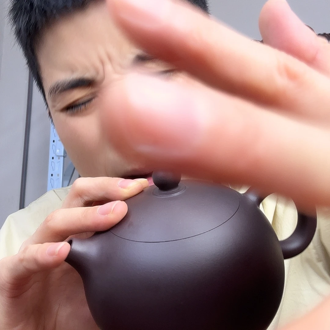 紫砂茶壶民间手艺人全手工制作