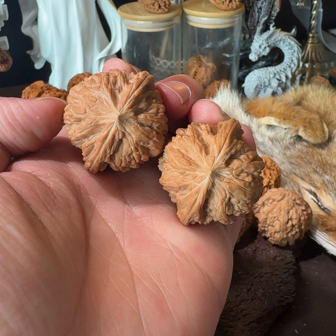 手串/手链核桃40全品山地正磨
