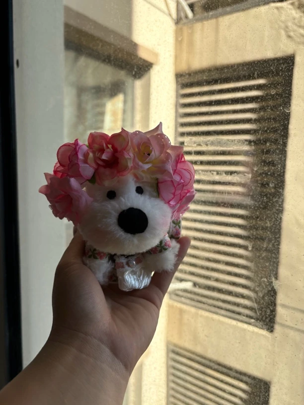 {端盒专拍链接 拍1拆12 保底13只}西高地玩偶包包钥匙扣配饰