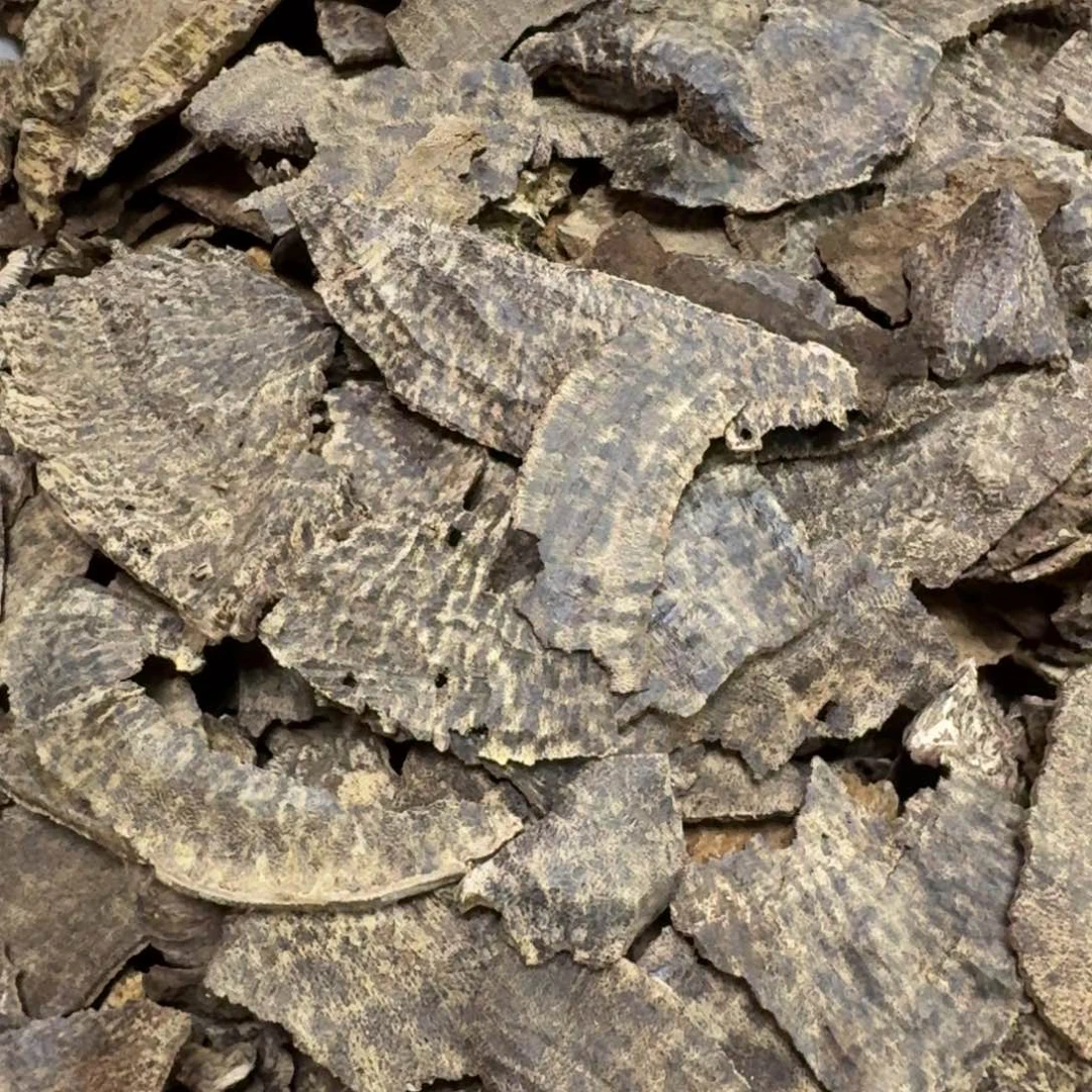 用***8沉香碎屑沉香海南沉香老顶块料100克