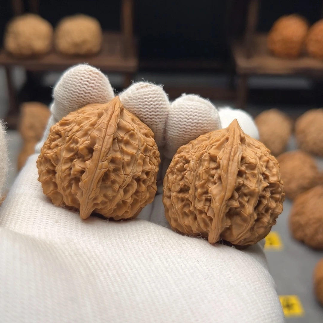 桃核把件野生海胆35.36.38