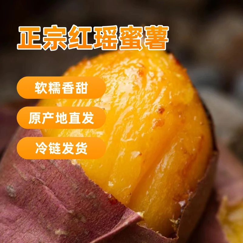 正宗天津宁河岳龙红瑶蜜薯地瓜当季新鲜番薯香甜软糯红薯包邮