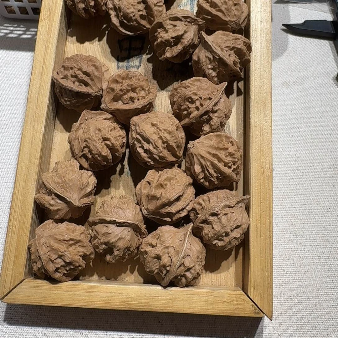 核桃手串/手链94号边26手持