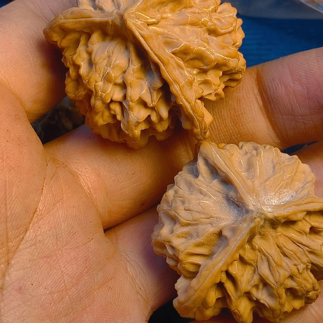 核桃手串/手链A*A三棱一只有黄