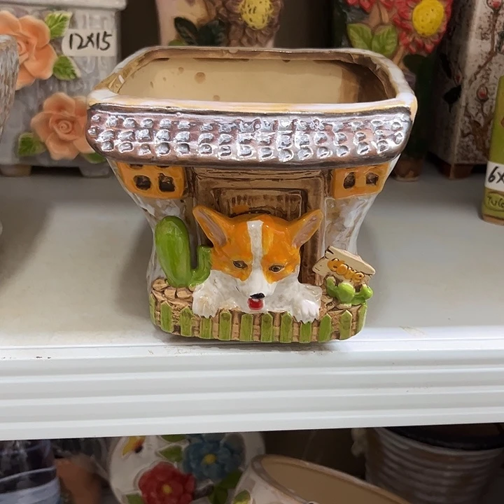 粗陶材质多肉花盆