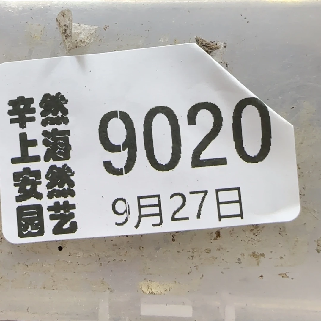 花***@9.27。  .6饼干。  9020