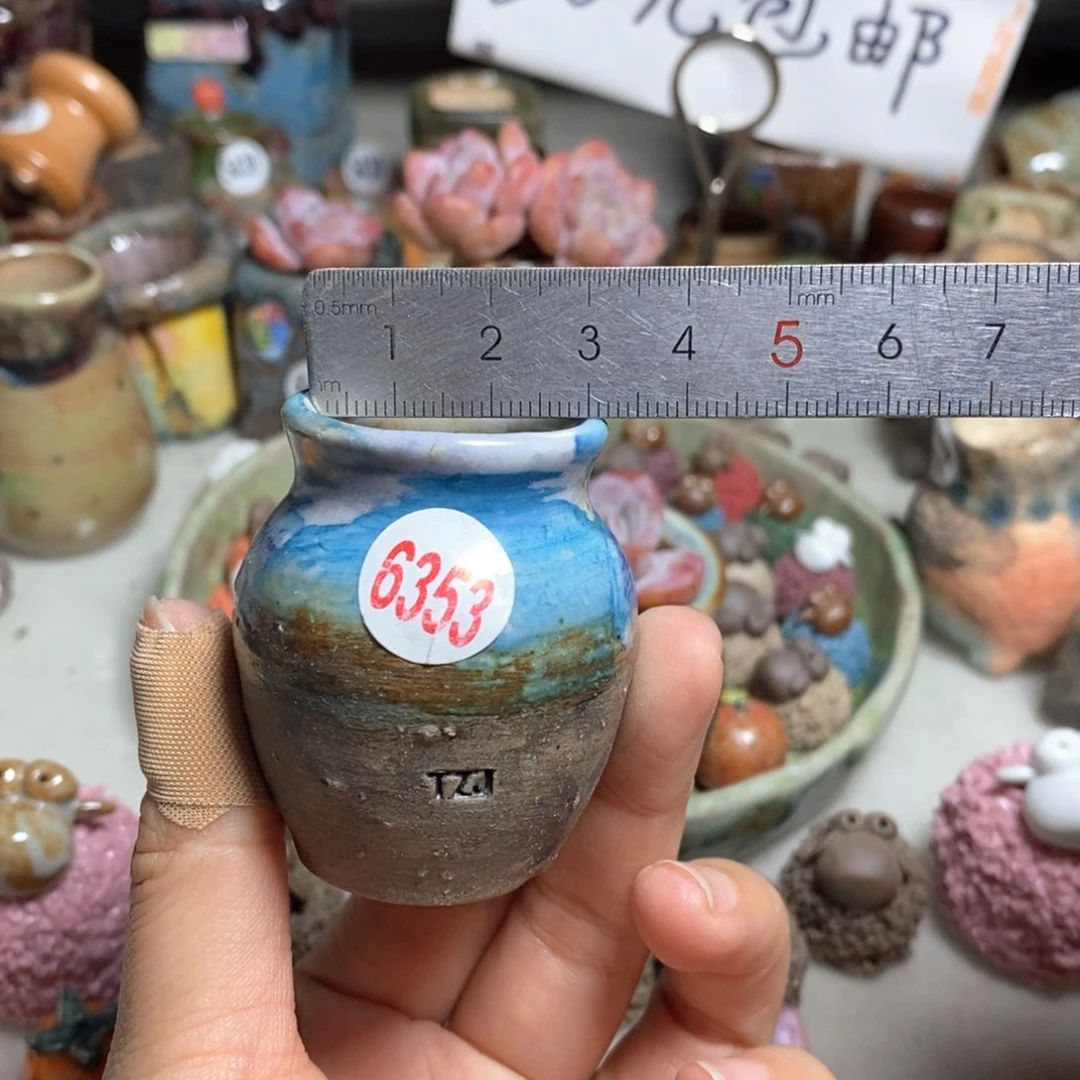 拍5送一个小礼物