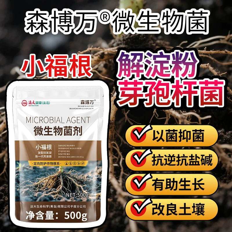 根部生防小福根复配壳寡糖解淀粉芽孢杆菌复合微生物菌剂缓解连作